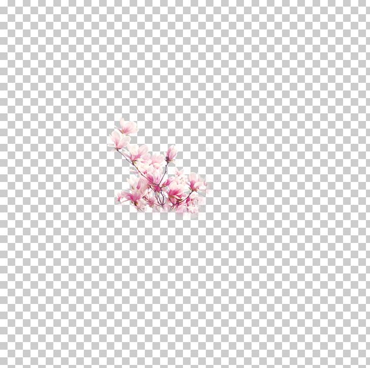Petal Cherry Blossom Pink Book PNG, Clipart, Album, Blossom, Book, Branch, Cherry Free PNG Download