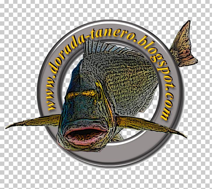 Surf Fishing Fish Hook Gilt-head Bream Catch And Release PNG, Clipart, Bass, Brand, Carp Fishing, Catch And Release, Catfish And Carp Free PNG Download