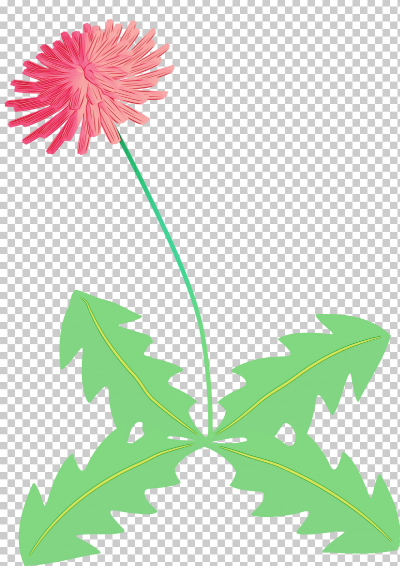 Flower Garden PNG, Clipart, Common Daisy, Dandelion Flower, Flower, Flower Garden, Flowerpot Free PNG Download