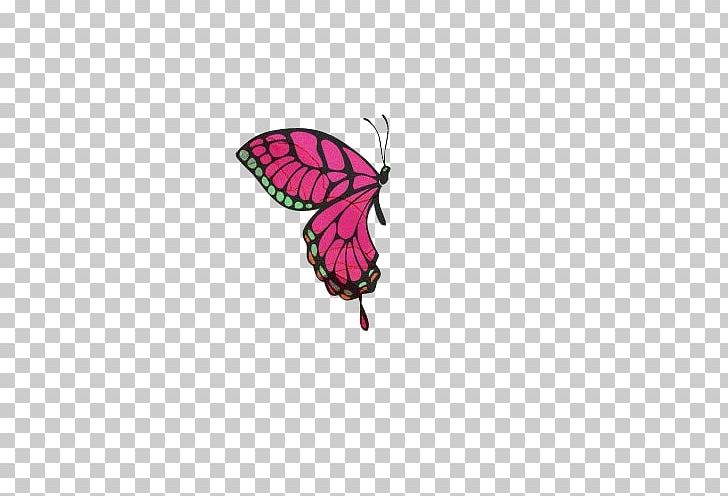 Butterfly Insect Icon PNG, Clipart, Animals, Arthropod, Butterfly, Computer Wallpaper, Cute Insects Free PNG Download