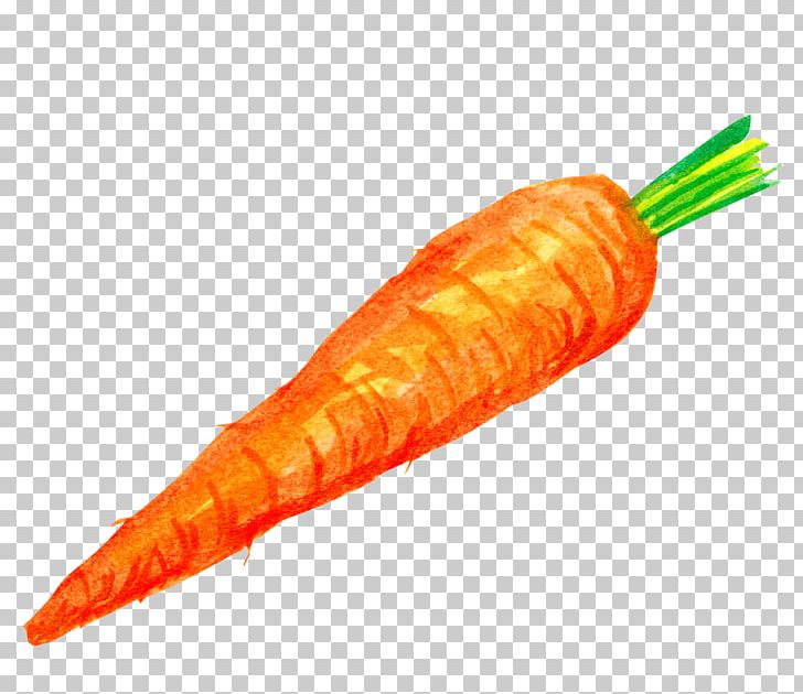 Carrot Cake Vegetable Illustration PNG, Clipart, Carrot, Carrot Cartoon, Carrot Juice, Carrots, Cartoon Carrot Free PNG Download