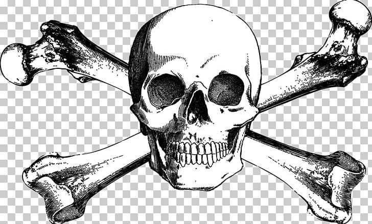 Skull And Bones Skull And Crossbones Drawing PNG, Clipart, Art, Automotive Design, Black And White, Bone, Capita Free PNG Download