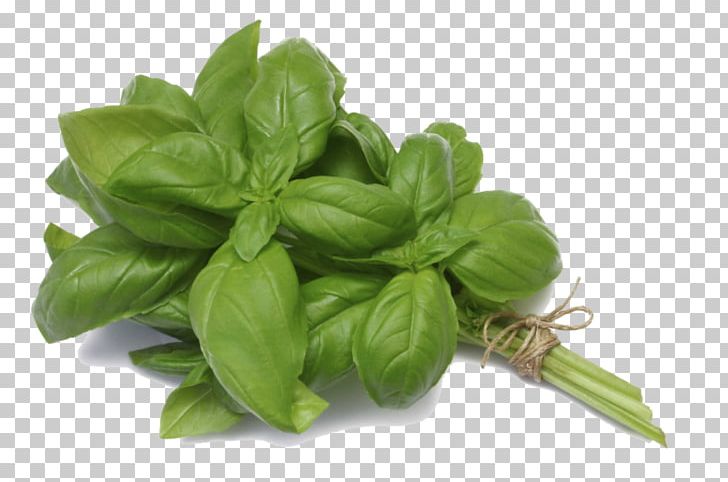Basil Mediterranean Cuisine Herb Thyme Mints PNG, Clipart, Basil, Cooking, Flavor, Food, Fruit Free PNG Download