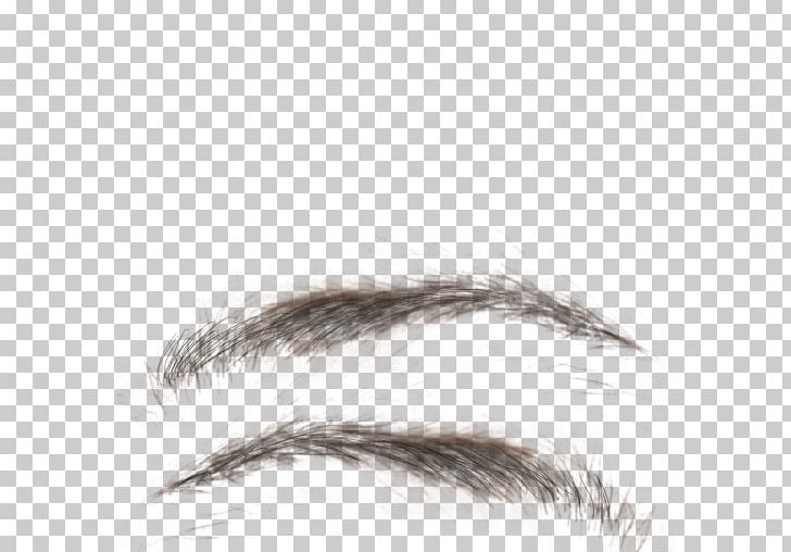 Eyebrow Eyelash Texture Mapping PNG, Clipart, Bitmap, Closeup, Color, Desktop Wallpaper, Eye Free PNG Download
