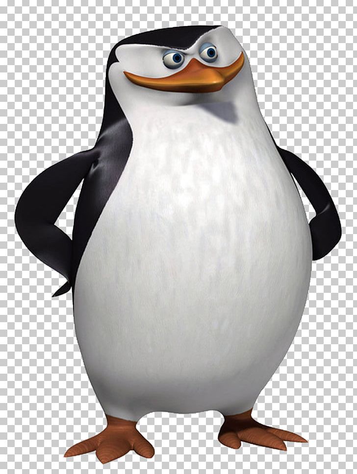 Madagascar Penguins PNG, Clipart, Madagascar Penguins Free PNG Download