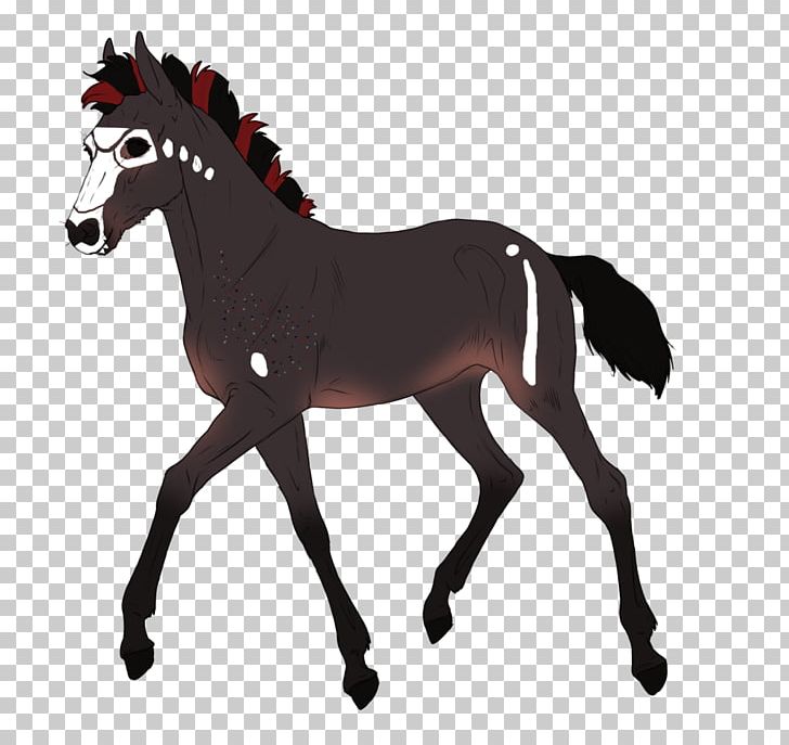 Mustang Pony Foal Stallion Colt PNG, Clipart, Animal Figure, Arabian Horse, Australian Stock Horse, Bridle, Colt Free PNG Download