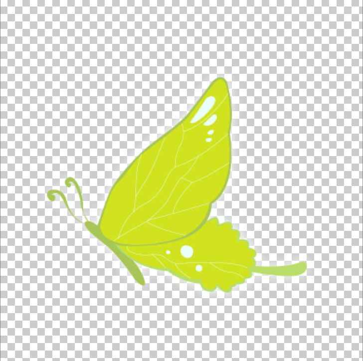 Green PNG, Clipart, Adobe Illustrator, Art, Blue Butterfly, Butterflies, Butterfly Free PNG Download