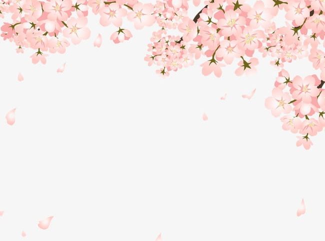 Pretty Peach Falling PNG, Clipart, Falling Clipart, Flowers, Peach Clipart, Petal, Pink Free PNG Download