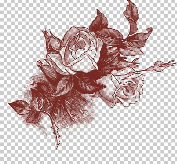 Rose PNG, Clipart, Art, Drawing, Fictional Character, Flower, Flowering Plant Free PNG Download