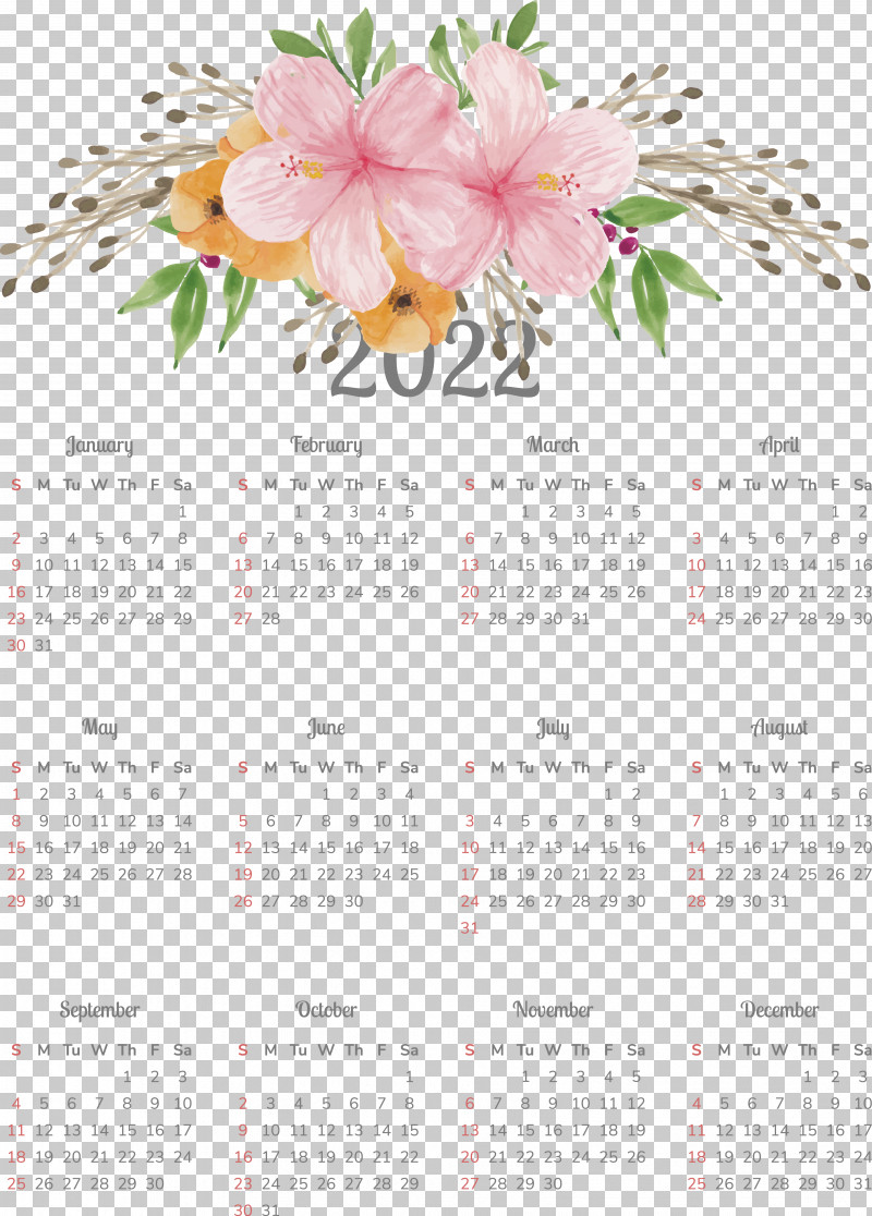 Floral Design PNG, Clipart, Biology, Calendar, Floral Design, Flower, Petal Free PNG Download