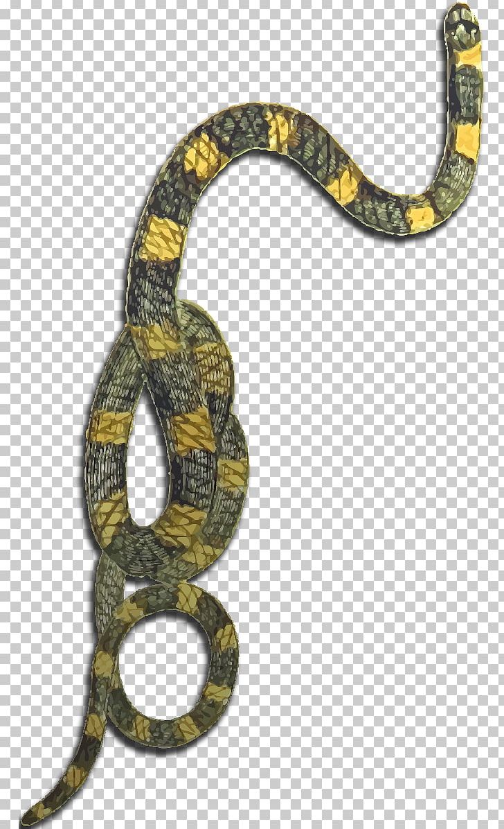 Boa Constrictor Kingsnakes Dungeons & Dragons Rattlesnake PNG, Clipart, Boa Constrictor, Boas, Colubridae, Colubrid Snakes, Dungeons Dragons Free PNG Download