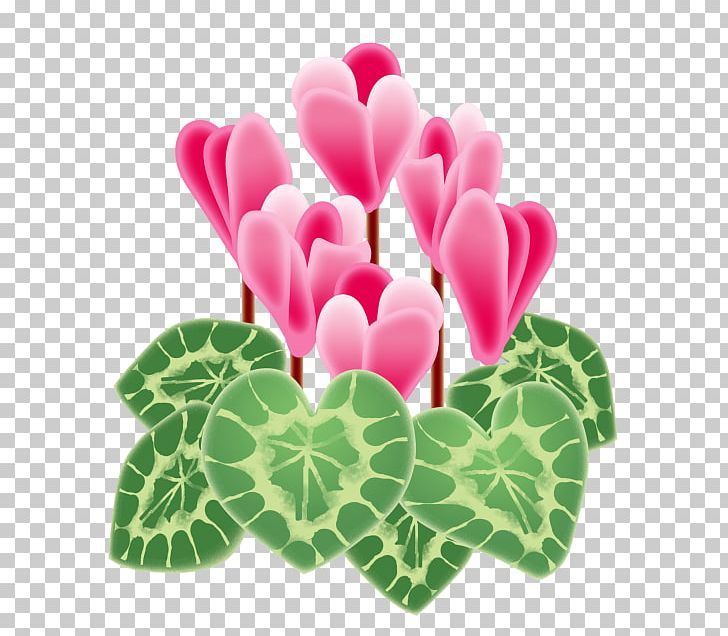 Cyclamen Persicum Floral Design New Year Card Art PNG, Clipart, African Violets, Art, Cut Flowers, Cyclamen, Cyclamen Persicum Free PNG Download