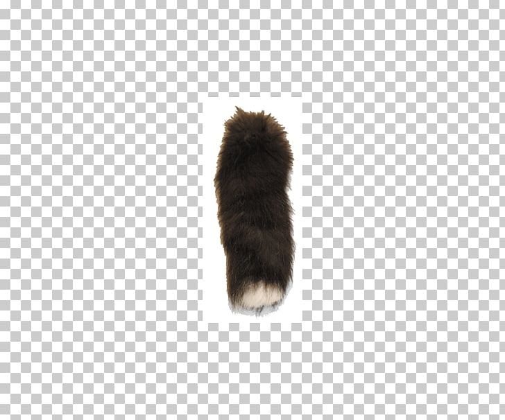 Dog Breed Fur Tail PNG, Clipart, Animals, Breed, Carnivoran, Dog, Dog Breed Free PNG Download