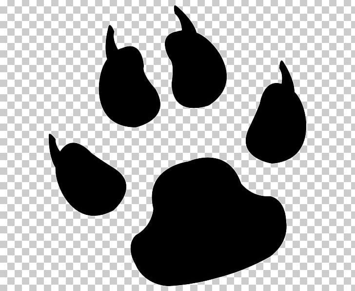 Dog Cougar Cat Paw PNG, Clipart, Animal Track, Black And White, Black Tiger, Case, Claw Free PNG Download