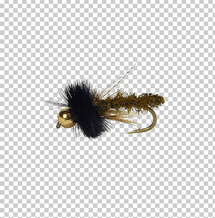 Fly Caddisflies Insect Pupa Gold PNG, Clipart, Arthropod, Artificial Fly, Bead, Fly, Fly Fishing Free PNG Download