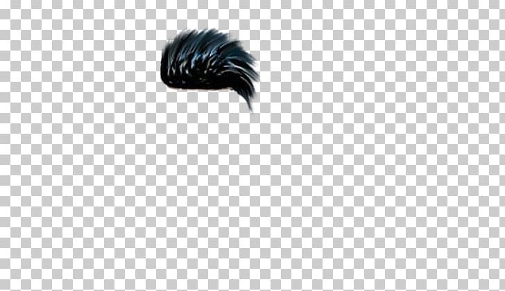 Hair Computer Icons Feather PNG, Clipart, Beak, Black, Clothing, Computer Icons, Editing Free PNG Download