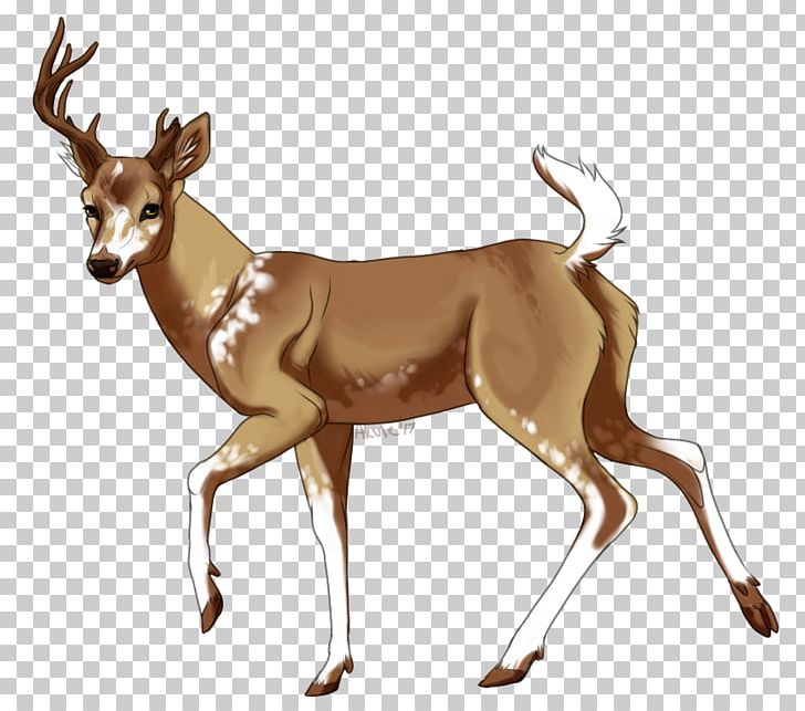 Thomson's Gazelle Springbok Antelope PNG, Clipart,  Free PNG Download