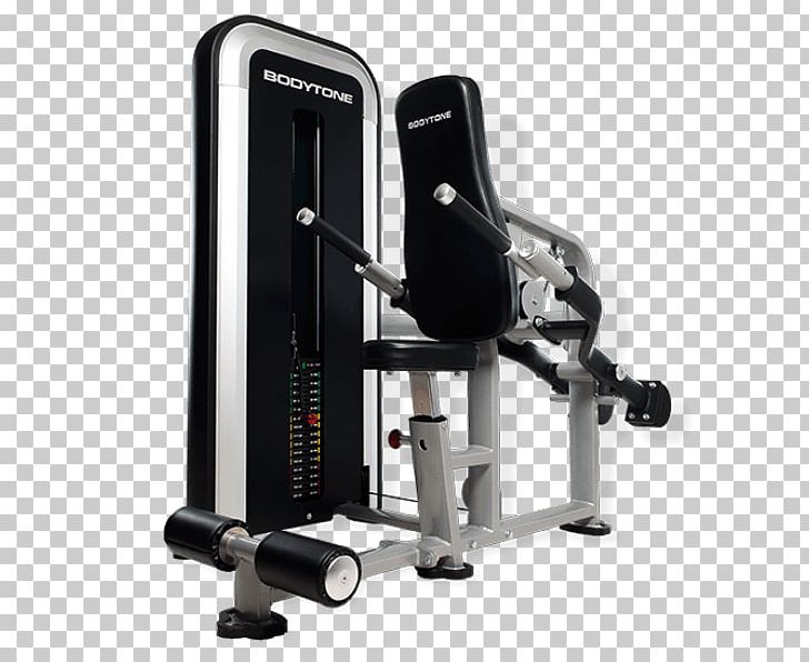 Triceps Brachii Muscle Elliptical Trainers Shoulder Dip Biceps PNG, Clipart, Biceps, Deltoid Muscle, Dip, Elliptical Trainer, Elliptical Trainers Free PNG Download