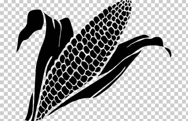 Candy Corn Corn On The Cob Maize PNG, Clipart, Black And White, Candy Corn, Clip Art, Corncob, Corn Kernel Free PNG Download