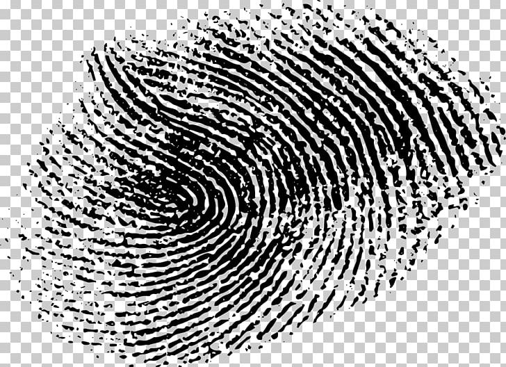 Fingerprint Line Art Drawing PNG, Clipart, Art, Black And White, Circle, Clip Art, Coloring Book Free PNG Download