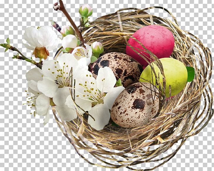 Bird Easter Egg Nest PNG, Clipart, Basket, Bird, Bird Nest, Easter, Easter Egg Free PNG Download