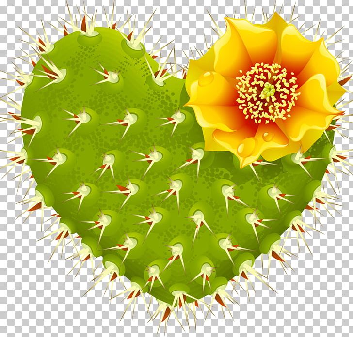 Cactaceae Thorns PNG, Clipart, Barbary Fig, Cactaceae, Cactus, Caryophyllales, Flowering Plant Free PNG Download