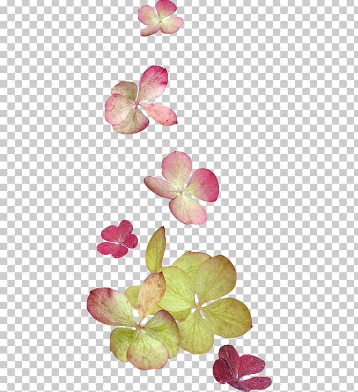 Flower Portable Network Graphics Painting PNG, Clipart, Art, Cut Flowers, Float, Floral Design, Flower Free PNG Download