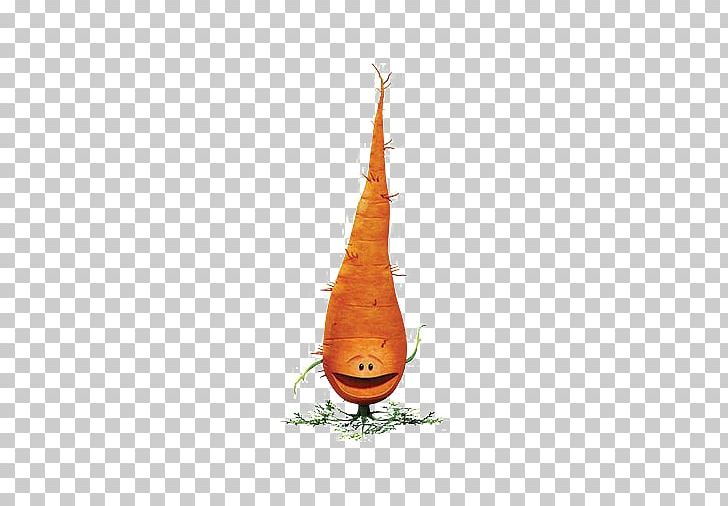 Carrot Drawing Icon PNG, Clipart, Boy Cartoon, Carrot Deductible Png, Carrots, Cartoon Alien, Cartoon Character Free PNG Download