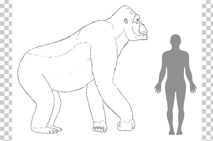 Gorilla Gigantopithecus Ape King Kong Human Body PNG, Clipart, Angle, Animals, Arm, Big Cats, Biology Free PNG Download