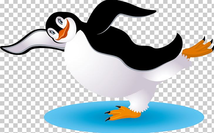 Penguin PNG, Clipart, Adobe Illustrator, Animal, Animals, Animation, Beak Free PNG Download