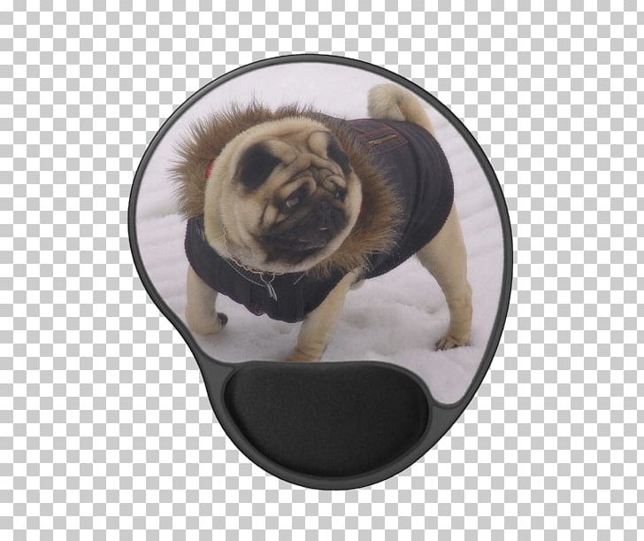 pug coin purse