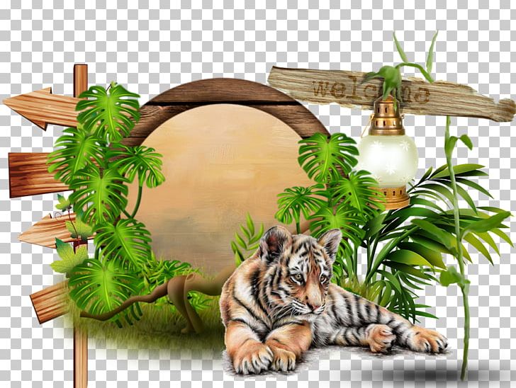 Tiger Felidae Man Big Cat CanalBlog PNG, Clipart, Animals, Big Cat, Big Cats, Birthday, Canalblog Free PNG Download