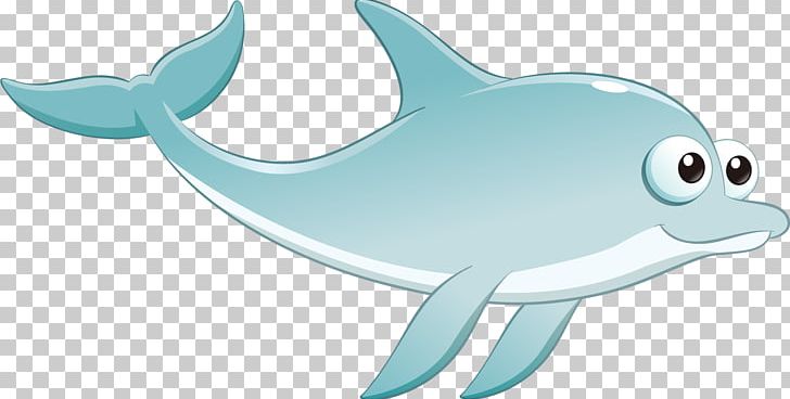 Common Bottlenose Dolphin PNG, Clipart, Animals, Balloon Cartoon, Blue, Cartoon Character, Cartoon Eyes Free PNG Download