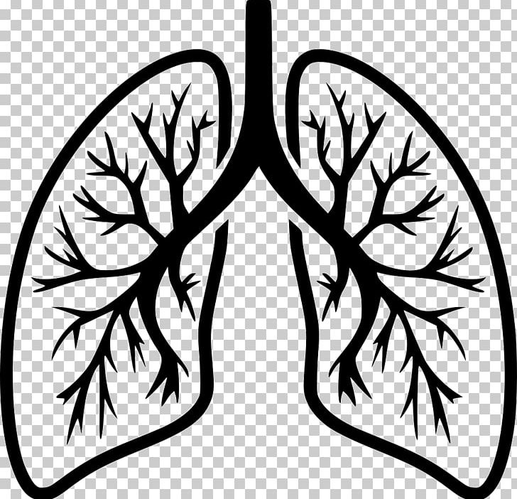 Lung Computer Icons Breathing Organ PNG, Clipart, Anatomy, Artwork, Black And White, Branch, Breathing Free PNG Download