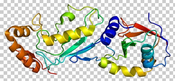 UBE2M Protein Copine Ubiquitin-conjugating Enzyme NEDD8 PNG, Clipart, 2 M, Cell Membrane, Cell Signaling, Coiled Coil, Copine Free PNG Download