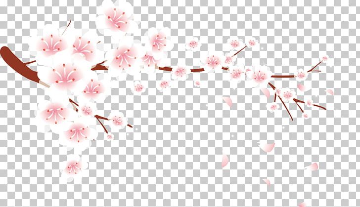 Petal Plum Blossom Flower PNG, Clipart, Blossom, Blossom Vector, Branch, Cherry Blossom, Cherry Blossoms Free PNG Download
