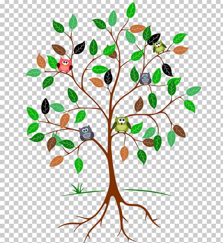 Root Tree Portable Network Graphics Open PNG, Clipart, Artwork, Branch, Computer Icons, Desktop Wallpaper, Flora Free PNG Download