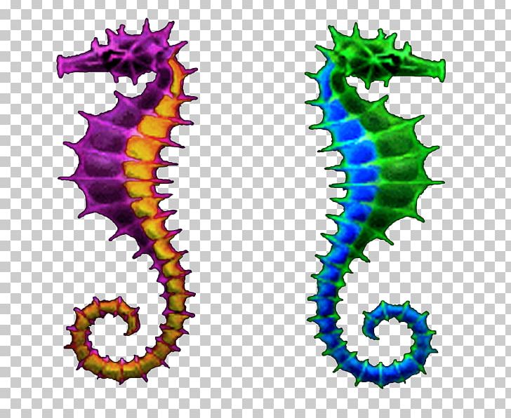 Seahorse Body Jewellery Line PNG, Clipart, Animals, Body Jewellery, Body Jewelry, Fish, Jewellery Free PNG Download