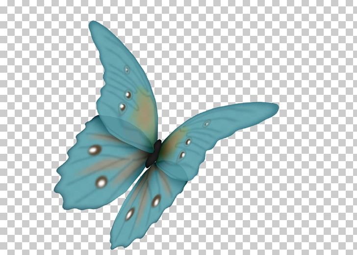 Butterfly PNG, Clipart, Butterflies And Moths, Butterfly, Clip Art, Encapsulated Postscript, Green Free PNG Download