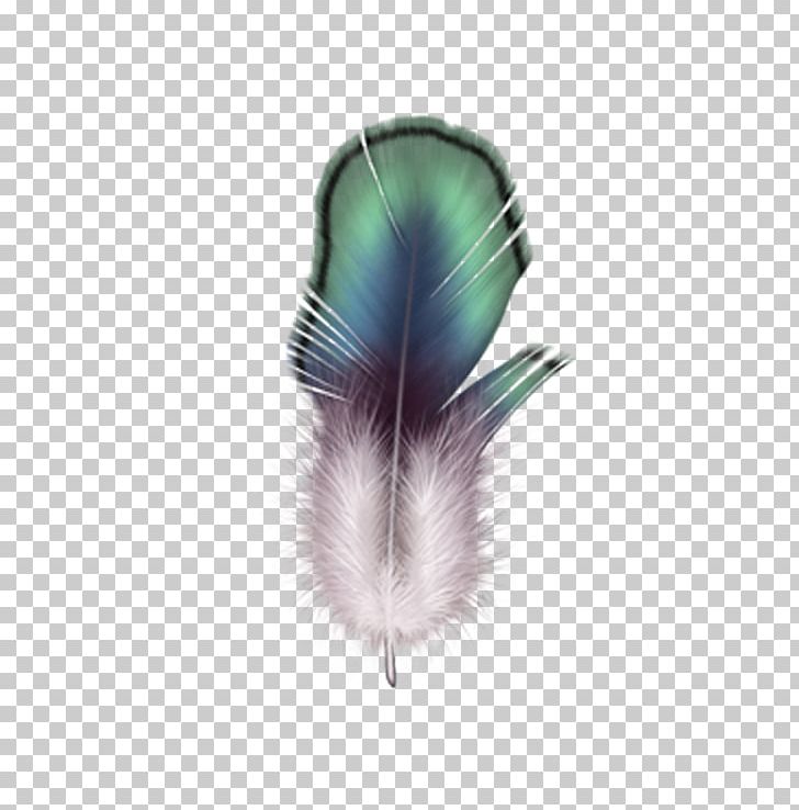 Firebird Feather Drawing PNG, Clipart, Animals, Bird, Digital Image, Drawing, Euclidean Vector Free PNG Download