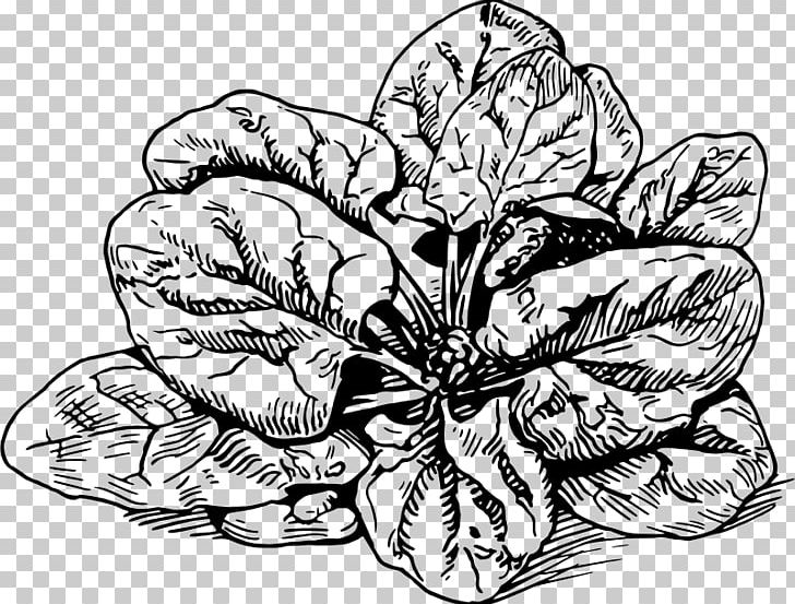 Spinach Banitsa Lasagne Drawing Spanakopita PNG, Clipart, Artwork, Banitsa, Black And White, Cannelloni, Cooking Free PNG Download