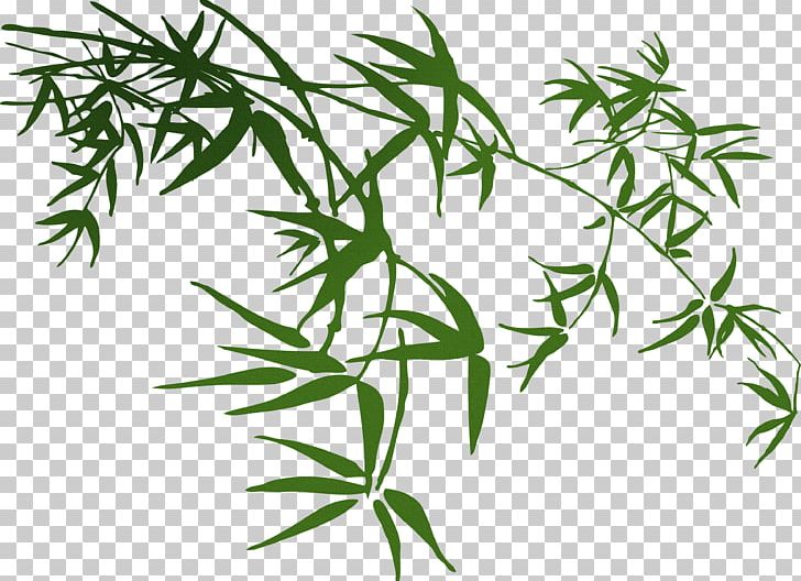 Bamboo PNG, Clipart, Balloon Cartoon, Bamboo, Boy Cartoon, Branch, Cartoon Free PNG Download