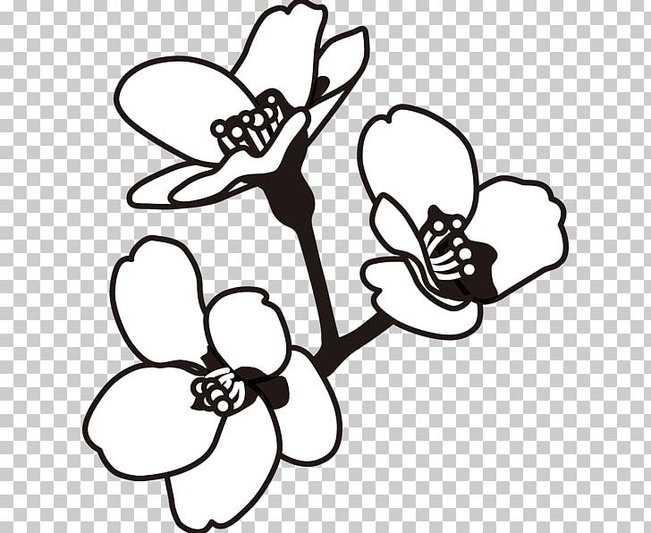 Black And White Monochrome Painting Line Art PNG, Clipart, Black, Black And White, Cartoon, Cherry Blossom, Fictional Character Free PNG Download