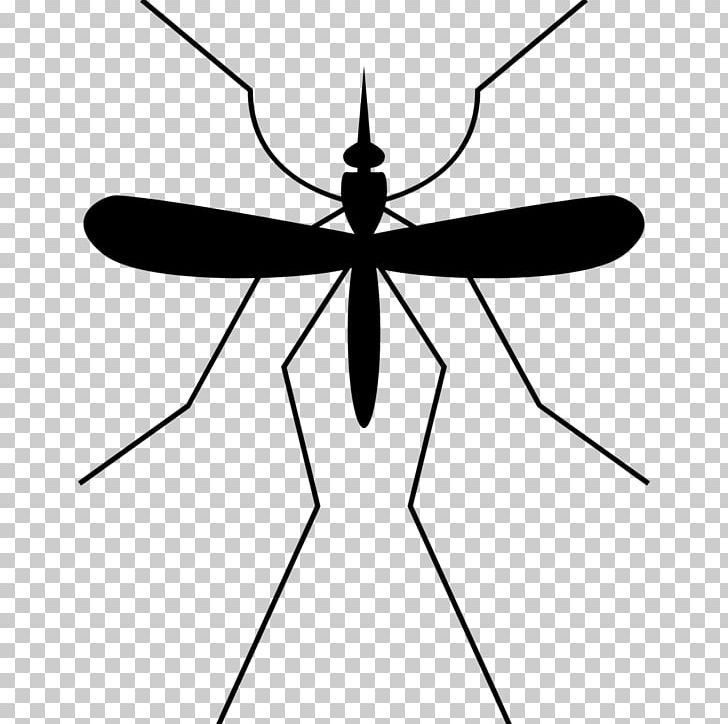 Mosquito Insect Computer Icons Gnat PNG, Clipart, Arthropod, Artwork, Black And White, Computer Icons, Fly Free PNG Download