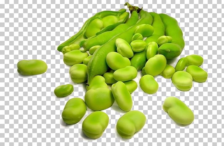 Broad Bean Legumes Sowing Food PNG, Clipart, Bean, Broad, Broad Bean, Carbohydrate, Commodity Free PNG Download