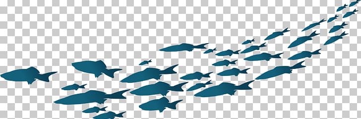 Blue Angle Animals PNG, Clipart, Adobe Illustrator, Angle, Animals, Blue, Blue Abstract Free PNG Download