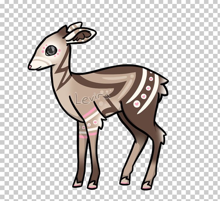 Musk Deer Reindeer Gazelle PNG, Clipart, Animal, Antelope, Antler, Cartoon, Cow Goat Family Free PNG Download