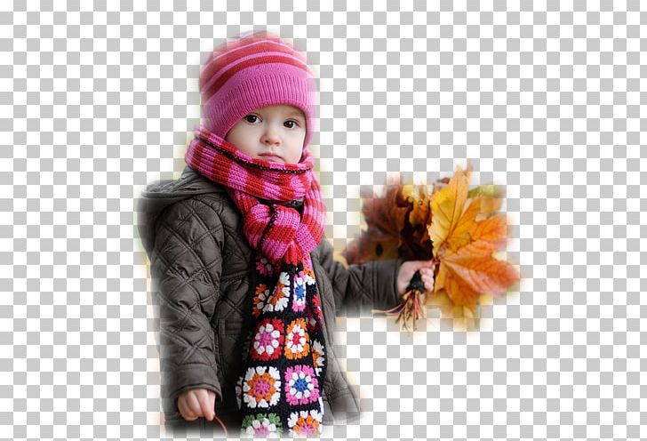 Desktop Child High-definition Television Display Resolution PNG, Clipart, 1080p, Autumn, Baby, Boy, Child Free PNG Download