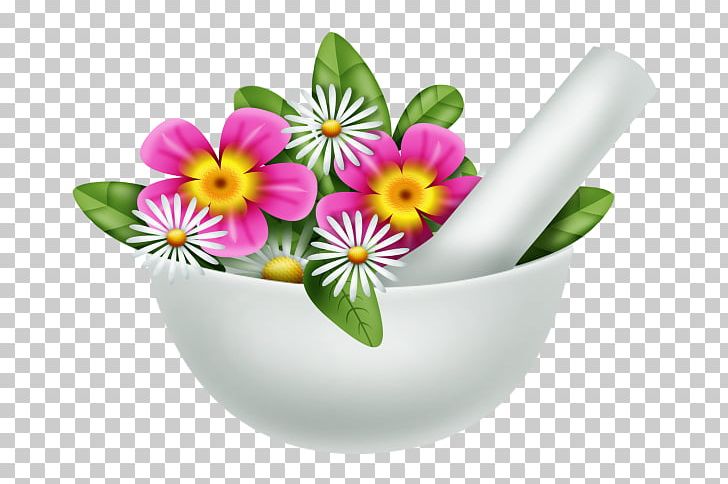 Flowerpot Tableware Flowering Plant Herbaceous Plant PNG, Clipart, Cari, Flower, Flowering Plant, Flowerpot, Flowers Free PNG Download