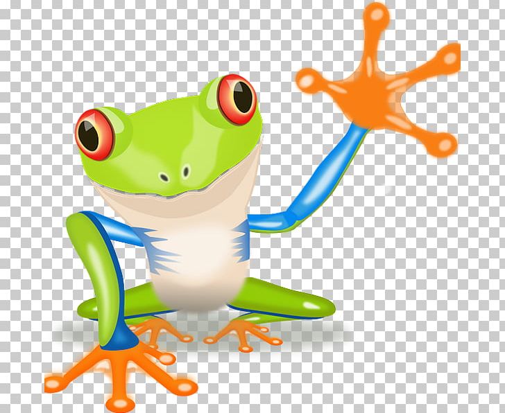 Red-eyed Tree Frog PNG, Clipart, Amphibian, Animal, Animals, Blue Poison Dart Frog, Cartoon Free PNG Download